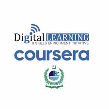 The Digital Learning & Skills Enrichment Initiative (DLSEI) is an initiative
